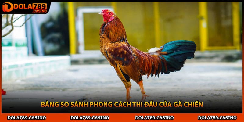 Bảng so sánh phong cách thi đấu của gà chiến