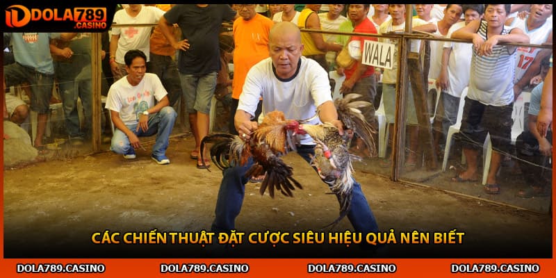 Các chiến thuật đặt cược siêu hiệu quả nên biết