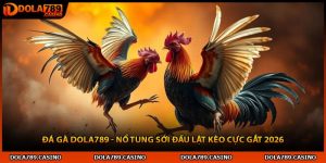 Đá Gà Dola789 - Nổ Tung Sới Đấu Lật Kèo Cực Gắt 2026