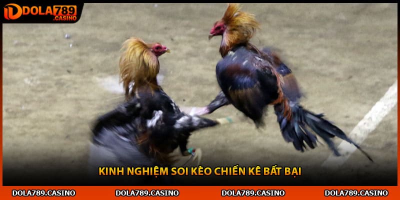 Kinh nghiệm soi kèo chiến kê bất bại