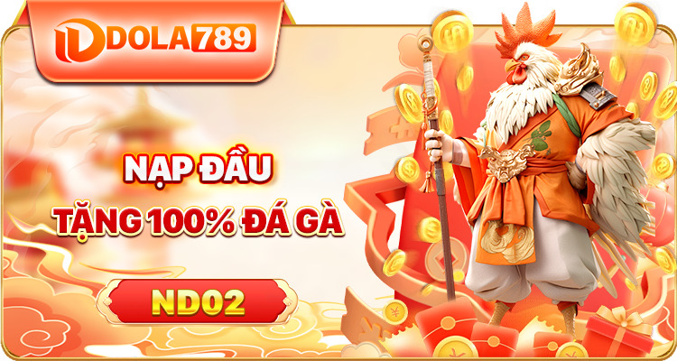 nạp đầu 02