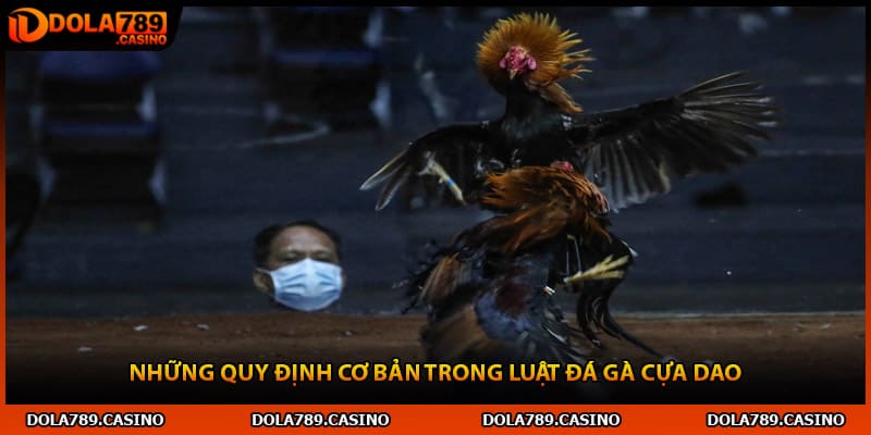 Những quy định cơ bản trong luật đá gà cựa dao
