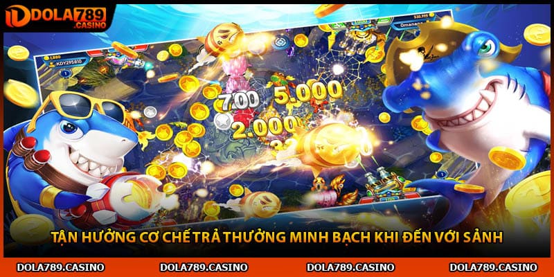 Tận hưởng cơ chế trả thưởng minh bạch khi đến với sảnh