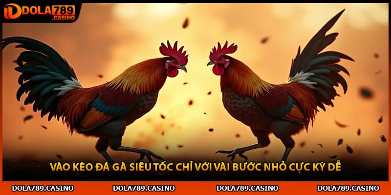 Vào Kèo Đá Gà Siêu Tốc Chỉ Với Vài Bước Nhỏ Cực Kỳ Dễ